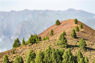 Gipfel des Pico Birigoyo, La Palma, Spanien